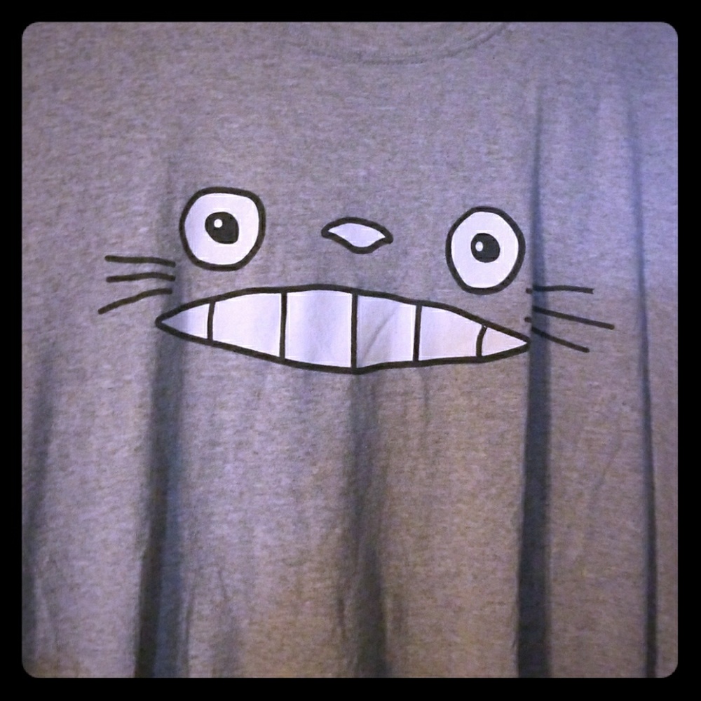 Kawaii Neighbors Totoro Shirt